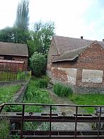 Třibřichy